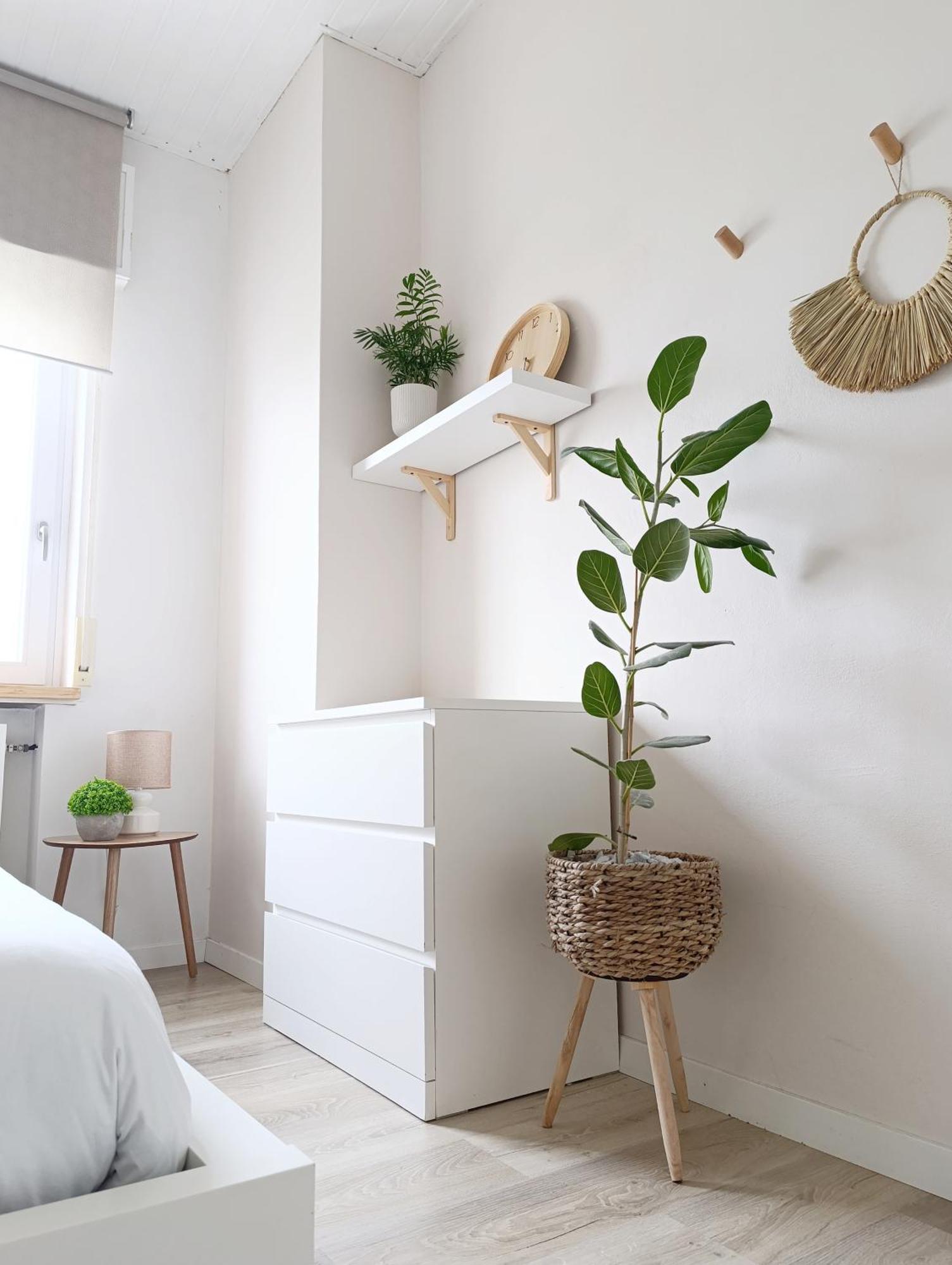 Kasakiwi Apartment Виченца Экстерьер фото